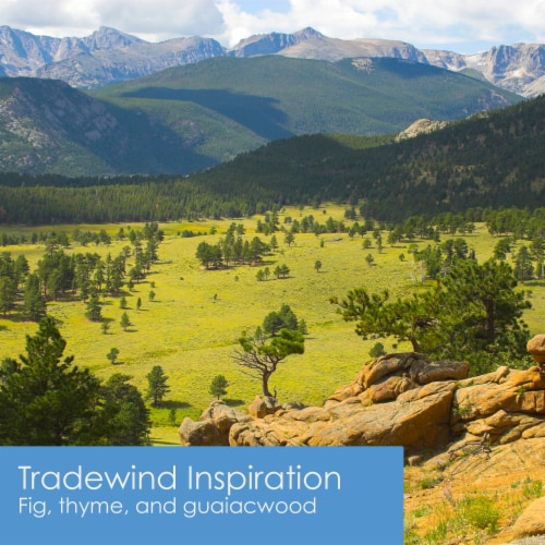 Tuscany Candle Elemental Aromatics Tradewind Inspiration Scented Jar Candle Perspective: right