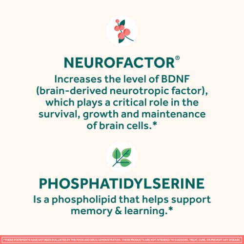 Neuriva Brain Performance Original Strawberry Gummies Perspective: right