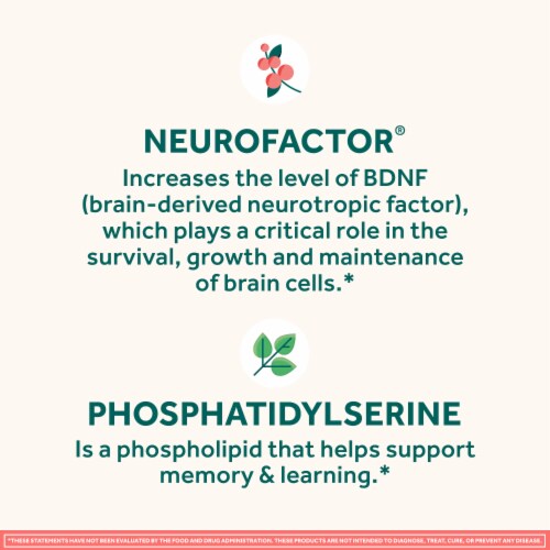 Neuriva Original Memory Focus Concentration Brain Health Supplement Strawberry Gummies Perspective: right