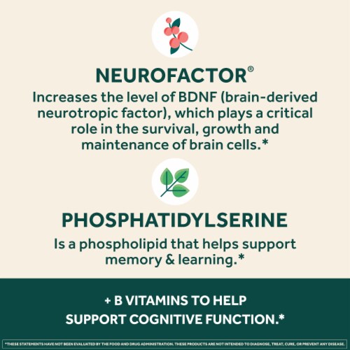 Neuriva Plus Memory Focus Concentration Brain Health Supplement Capsules Perspective: right