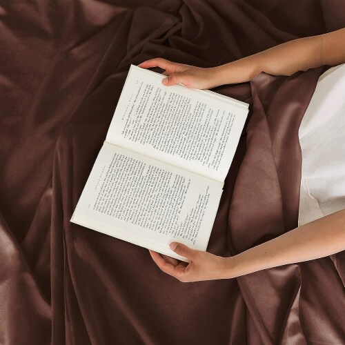 CGK Unlimited 3 Piece Microfiber Sheet Set - Twin - Brown Perspective: right