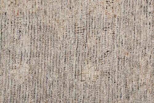 Feizy Rugs Caldwell Vintage Space Dyed Wool Accent Rug - Latte Tan/Gray Perspective: right
