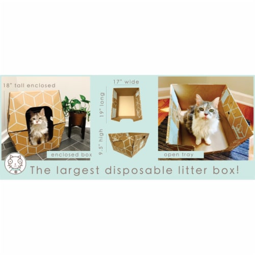 Cats Desire Disposable Biodegradable Litter Box 15 PC 15 pack