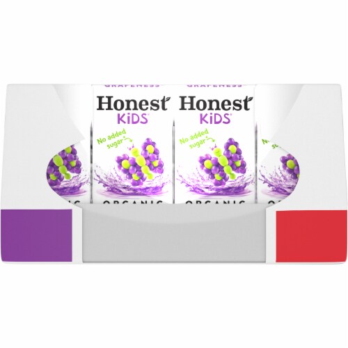 Honest Kids Organic Variety Pack Juice Cartons Perspective: right