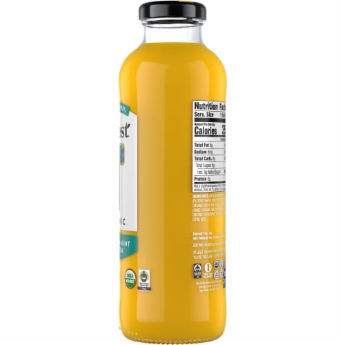 Honest Tea Organic Moroccan Mint Green Tea Perspective: right