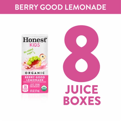 Honest Kids Berry Berry Good Lemonade Organic Fruit Juice Perspective: right