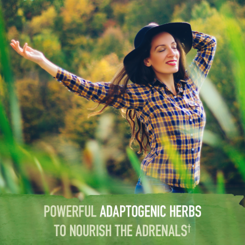 Garden of Life® Organics Adrenal Daily Balance Vegan Tablets 850mg Perspective: right