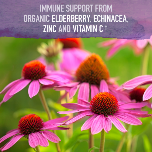 Garden of Life® Organics Plant-Based Elderberry Immune Syrup Perspective: right