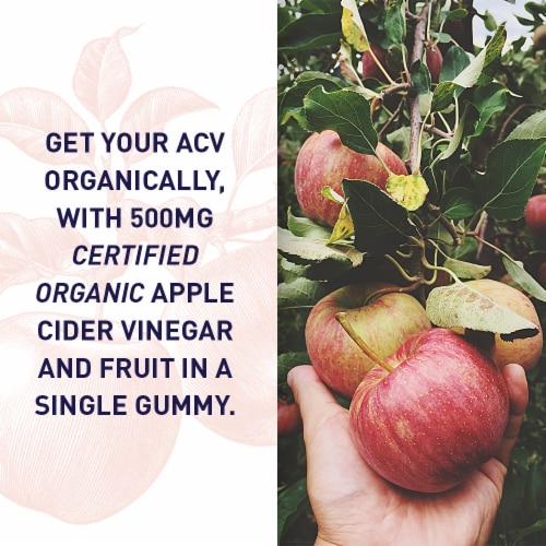 Garden of Life Organics Apple Cider Vinegar Vegan Gummies Original Perspective: right