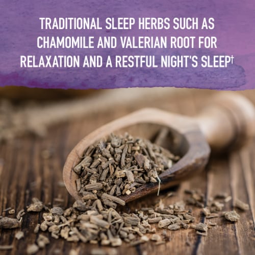 Garden of Life Organics Elderberry & Sleep Immune Syrup, Zinc, Vitamin C, No Added Sugars, Liquid Perspective: right