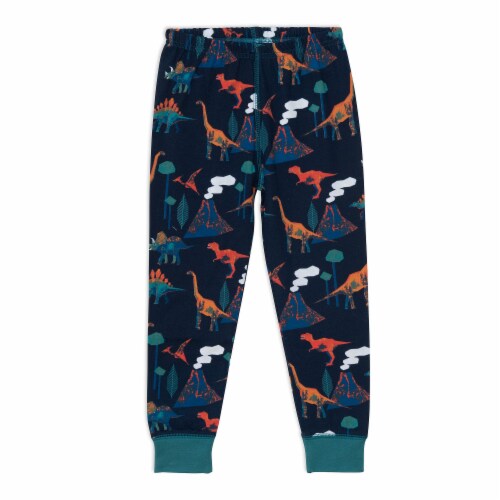 Organic Cotton Two Piece Pajama Set With Dinosaur Print, 3 - Fred Meyer