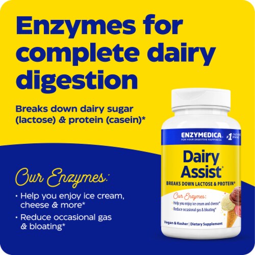 Enzymedica® Dairy Assist™ Digestive Enzymes Perspective: right