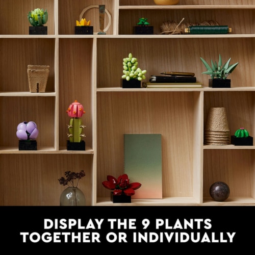 LEGO® Botanical Collection Succulents Building Set Perspective: right