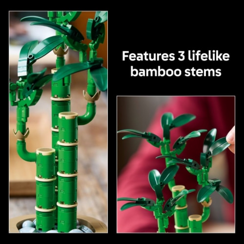 LEGO Botanicals Lucky Bamboo Building Set for Adults 10344 Perspective: right