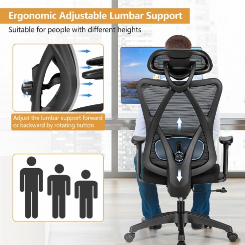 Adjustable Lumbar Support