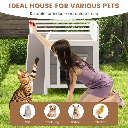 Feral online cat enclosure