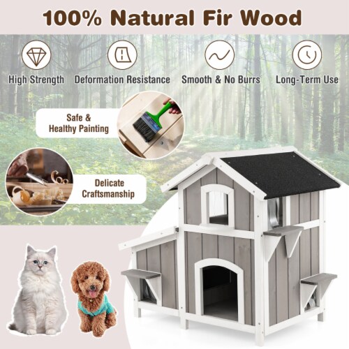 Outdoor cat deals house walmart