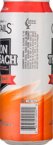 Clubtails™ Sex on the Beach Premium Cocktail Single Can Perspective: right