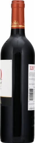 Santa Rita 120 Especial Carmenere Red Blend Perspective: right