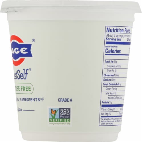 Fage® BestSelf Lactose Free Plain Yogurt Perspective: right