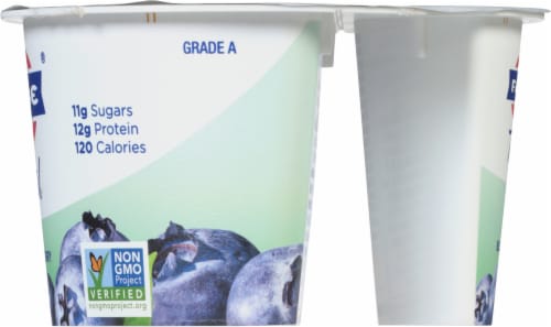 Fage® Total Blueberry 2% Milkfat Low Fat Greek Yogurt Cup Perspective: right