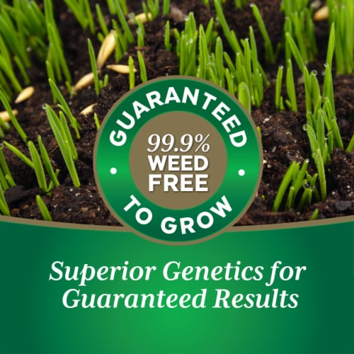 Nature's Own® Grass Seed Dog Spot - 1Lb Perspective: right