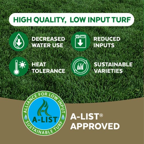 MVS® Fast Grass Sun & Shade Mix- 6Lb Perspective: right