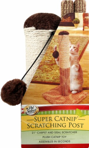 Pet Select Super Catnip Scratching Post 21 in Harris Teeter