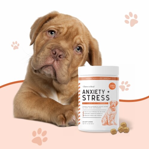 Stress chews for dogs hotsell