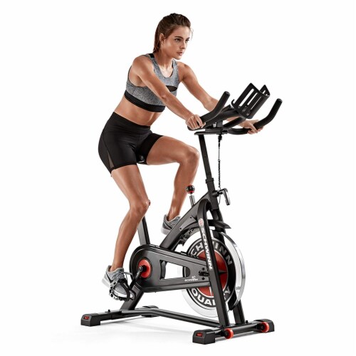 Bicicleta beurteilen spinning schwinn excellent