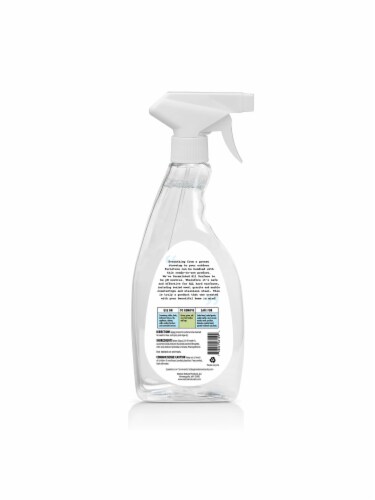 Clorox Clean-Up All Purpose Cleaner Rain Clean with Bleach Spray, 32 fl oz  - Kroger