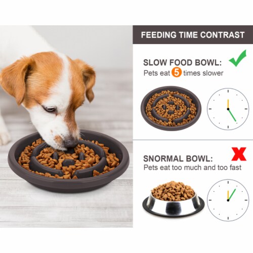 Funny Dog Style 3in1 Slow Feeder Bowl and Water Dispenser – Petzo