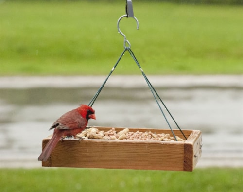 Woodlink Audubon Series 3 in 1 Platform Feeder Perspective: right