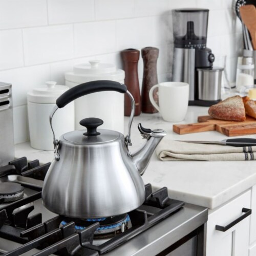 Brushed stainless steel tea kettle 2025