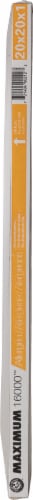 Arm & Hammer™ Maximum 16000 Allergen Air Filter Perspective: right