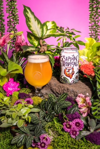Odell Brewing Sippin Tropical Sour Ale Perspective: right