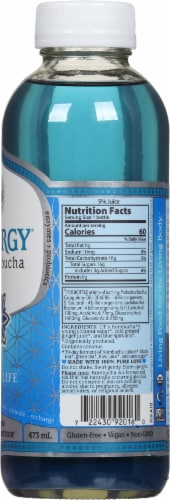 GT's Synergy® Kombucha Organic Sacred Life Perspective: right