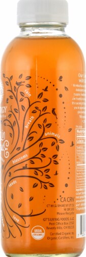 GT's Living Foods Seasonal Fall Edition Living in Gratitude Kombucha Perspective: right