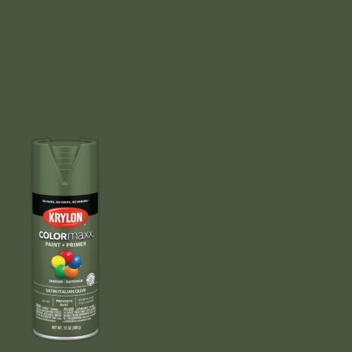Krylon® ColorMaxx Indoor/Outdoor Satin Italian Olive Paint Krylon® ColorMaxx Indoor/Outdoor Satin Italian Olive Paint