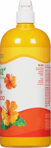 Alba Botanica® Mango Body Builder Shampoo Perspective: right