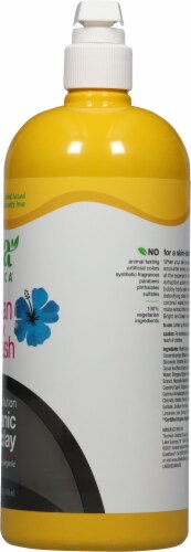 Alba Botanica® Volcanic Clay Hawaiian Detox Body Wash Perspective: right