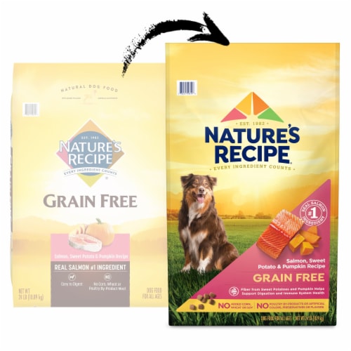 Nature's Recipe® Grain Free Salmon Sweet Potato & Pumpkin Dry Dog Food Perspective: right