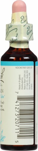 Bach® Original Flower Remedies Vervain Flower Essence Perspective: right