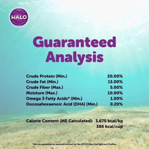 HALO Ocean of Vegan Recipe Natural Dry Dog Food Perspective: right