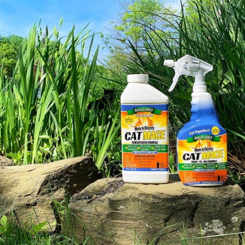 Cat away deals spray outdoor