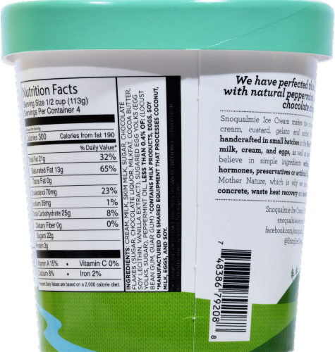 Snoqualmie Mint Chocolate Chip Ice Cream Pint Perspective: right