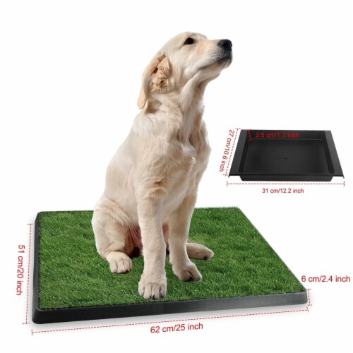 Pet Training Mat