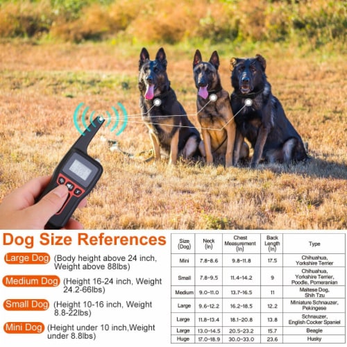 3280Ft Dog Training Collar Ip67 Waterproof Pet Beep Vibration Electric Shock Collar 1 unit Foods Co