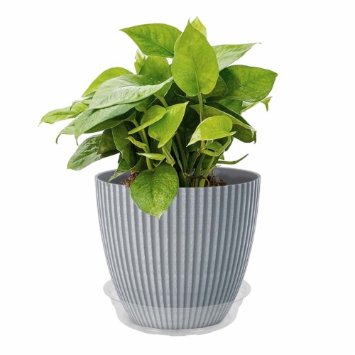 Curtis Wagner Plastics 6-Inch Vinyl Plant Saucer - Clear Perspective: right