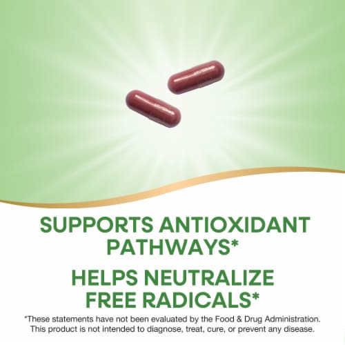 Nature's Way Cherry Fruit Extract Capsules Perspective: right